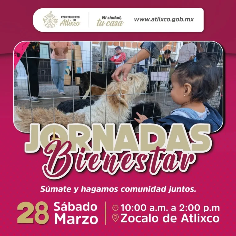 Ariadna Ayala continúa impulsando Jornadas Bienestar en Atlixco
