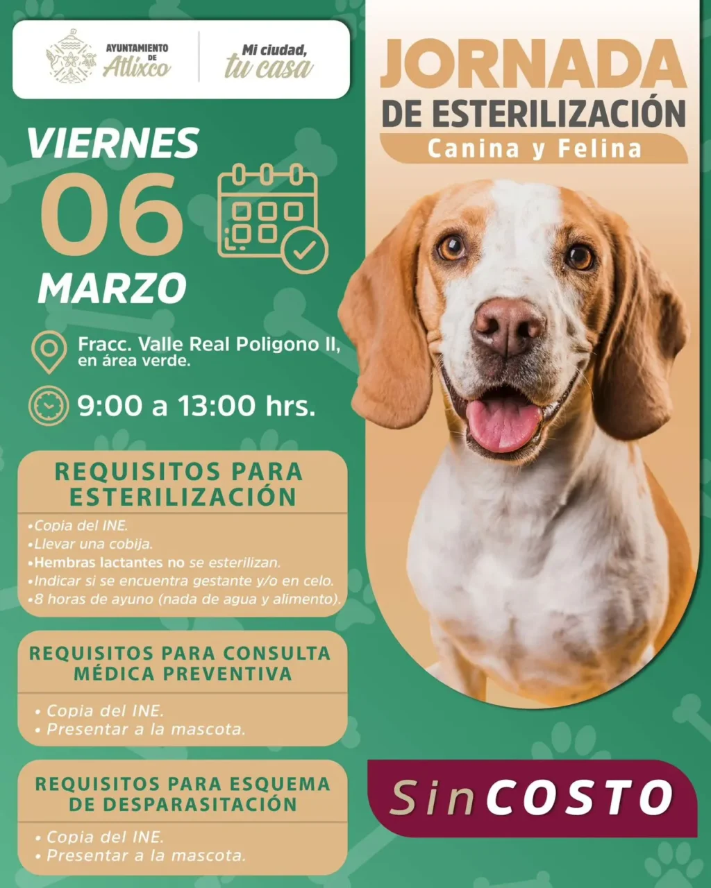 Ariadna Ayala Anuncia Nueva Jornada De Esterilización Gratuita En Atlixco