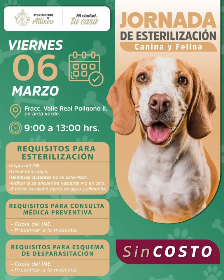 Ariadna Ayala Anuncia Nueva Jornada De Esterilización Gratuita En Atlixco