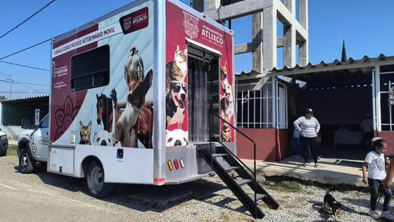 Amar es esterilizar: Ariadna Ayala promueve jornada de cuidado animal en Atlixco