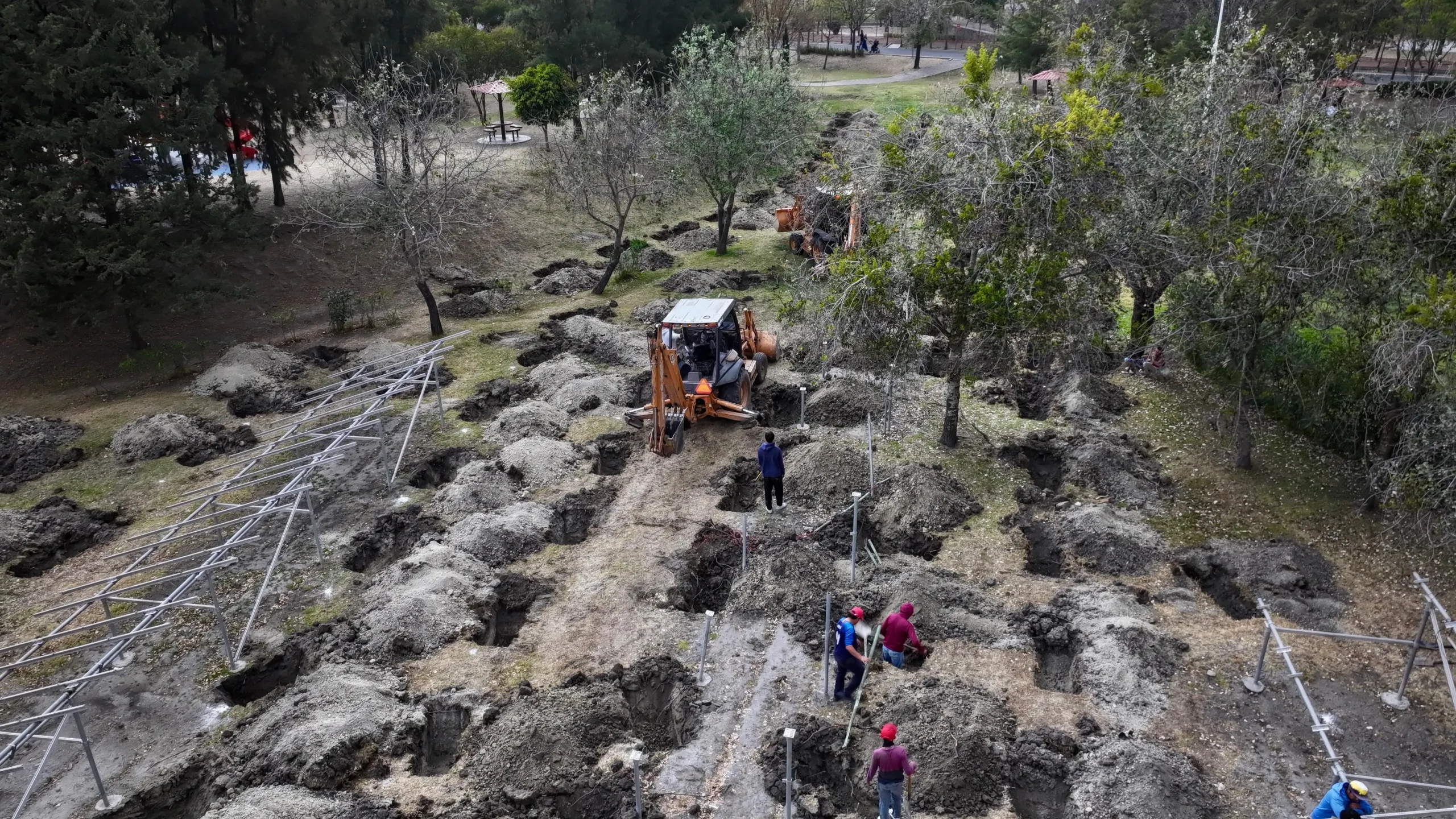 Inicia Reforestación Urbana En CIS Y Parque Ecológico; La Meta Son 10 Mil Árboles