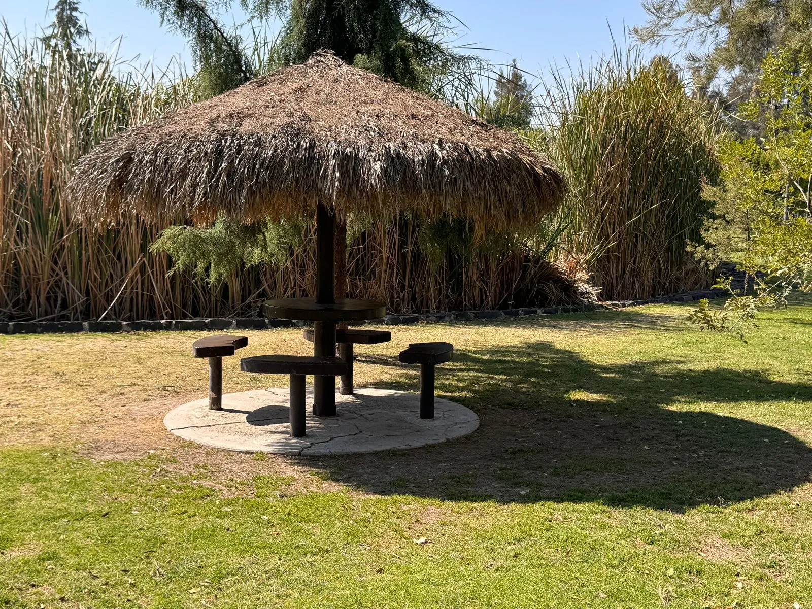 Puebla albergará Mundial de Tiro con Arco en Parque del Arte