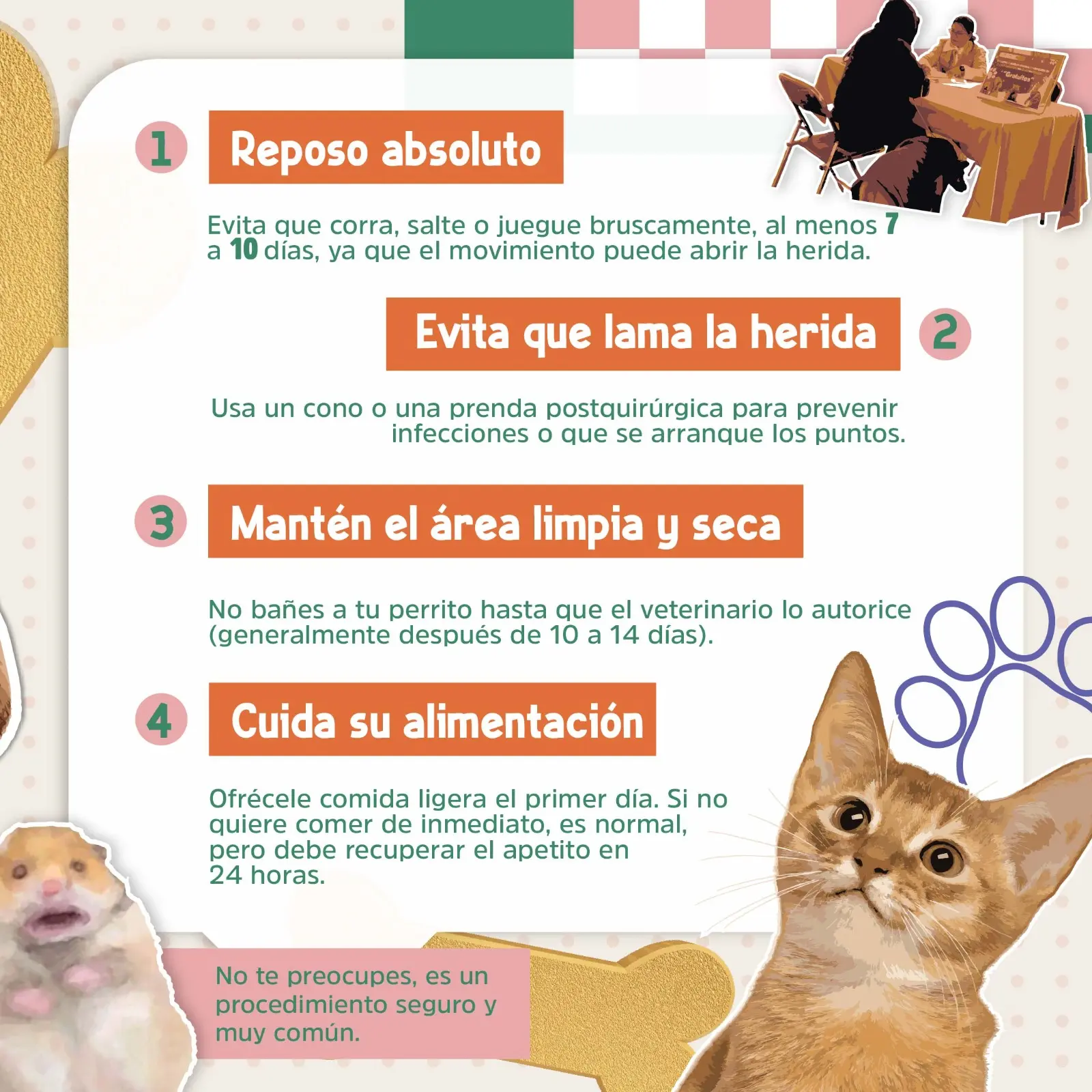 Ariadna Ayala Anuncia Nueva Jornada De Esterilización Gratuita En Atlixco