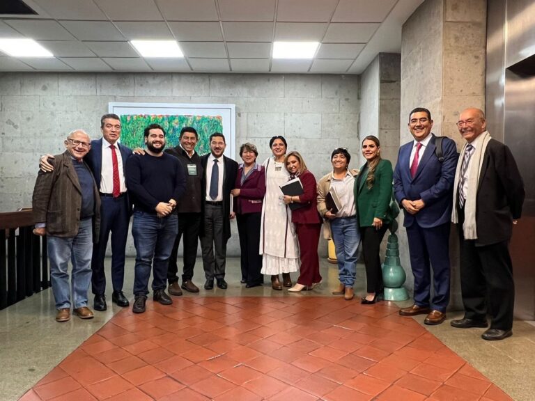 Puebla-Imssbienestar-ZoéRobledo-Amlo-Sergio Salomón