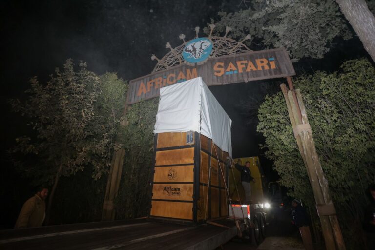 Puebla-Benito-AfricamSafari-Vidadigna