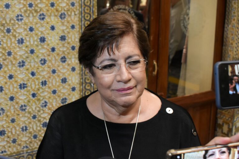 Grupo-plural-congreso-de-puebla-silvia-tanus
