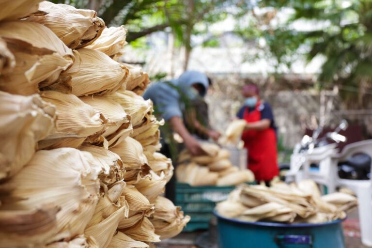 Tradición-Tamales-Día de la Candelaria