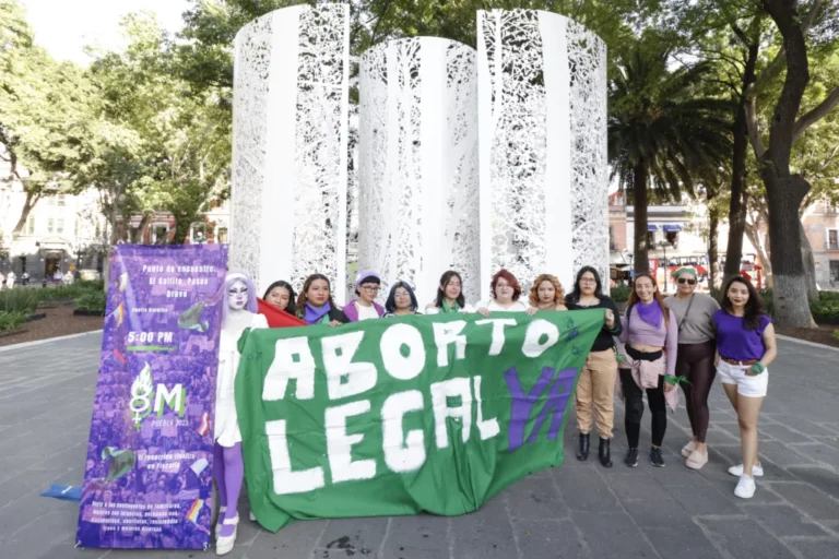 aborto-marcha-8M-feministas-activistas