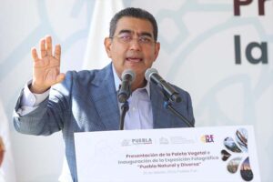 Sergio-Salomón-Céspedes-Peregrina-Puebla-Jesús-Zaldívar
