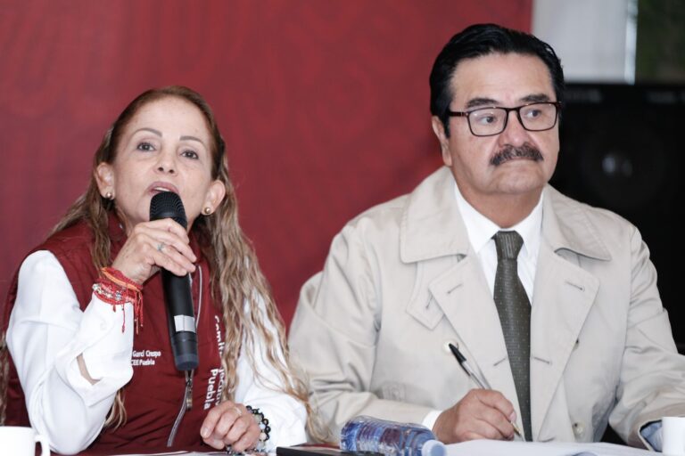 Morena-Puebla-candidaturas-diputaciones-locales