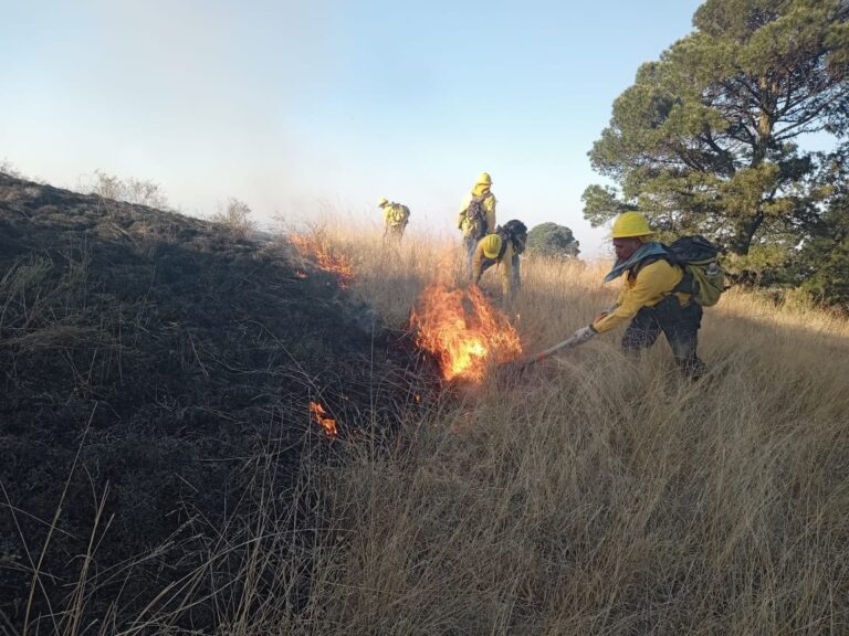 Puebla-incendios-forestales-brigadistas