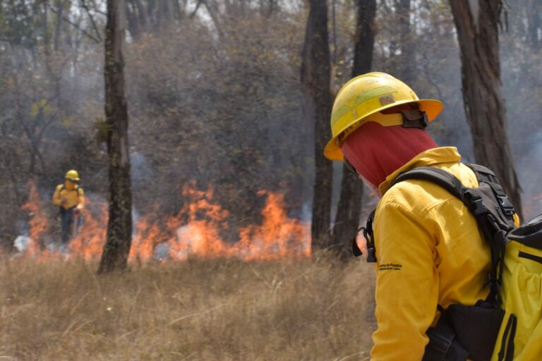 Puebla-incendios-forestales-conafor