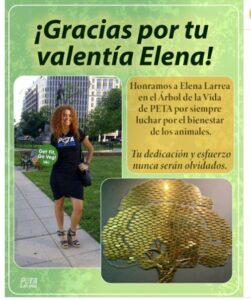 Cuacolandia-Elena-Larrea-Homenaje