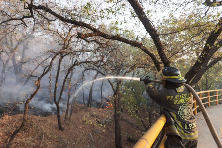 Incendio-forestal-puebla-Bosques-de-Chapultepec