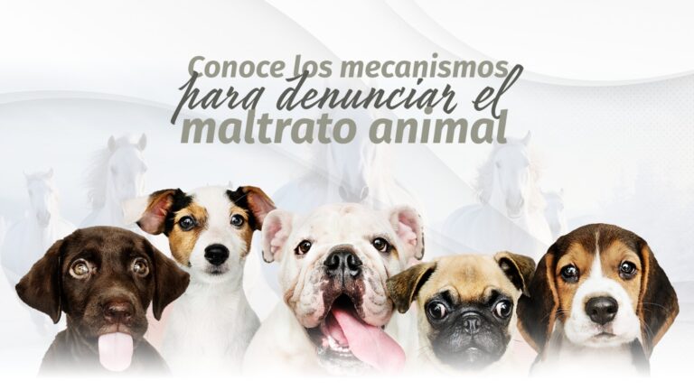 WhatsApp Image 2024-04-08 at 14.49.22