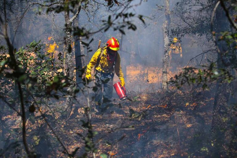inendios-forestales-amlo-sedena-gn-semar-conafor