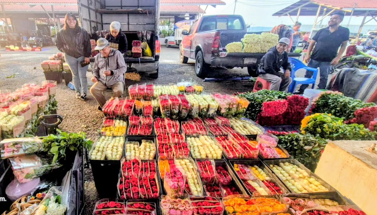 Llena de flores el corazón de mamá; Ariadna Ayala invita a celebrar con productos de Atlixco