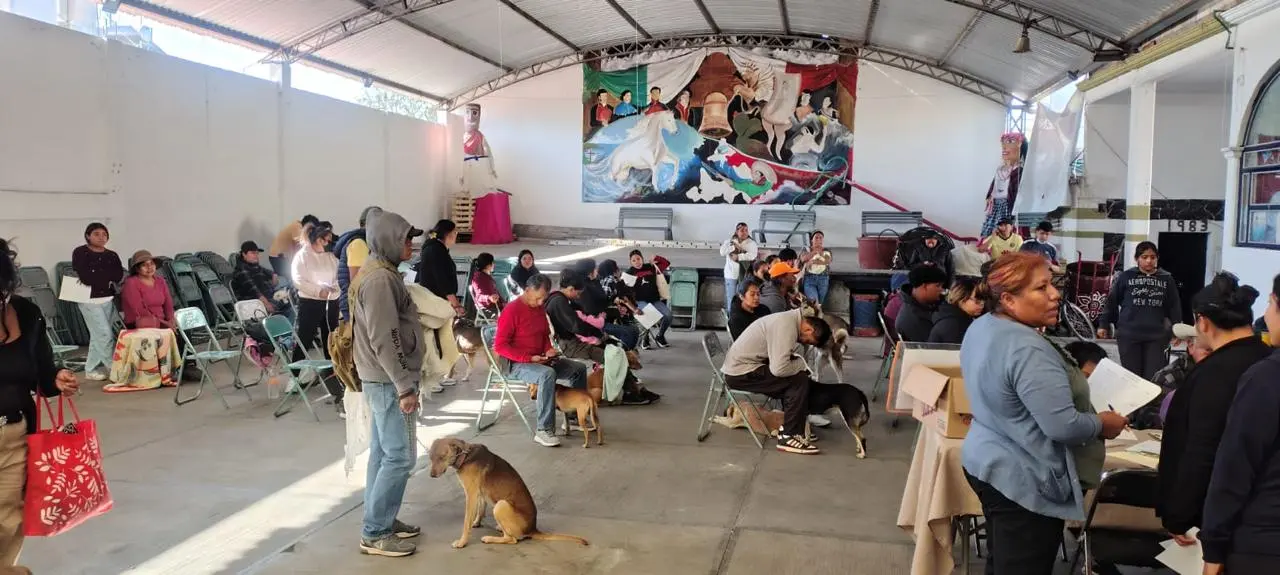 Ariadna Ayala Anuncia Nueva Jornada De Esterilización Gratuita En Atlixco
