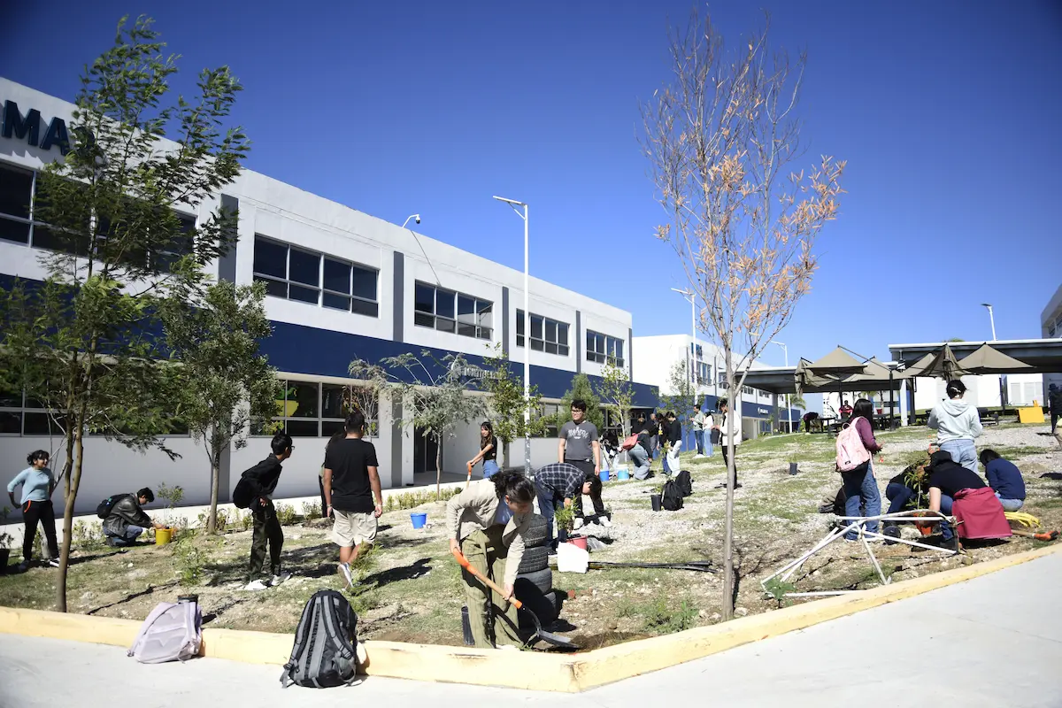 Realizan alumnos BUAP arborización en CU2