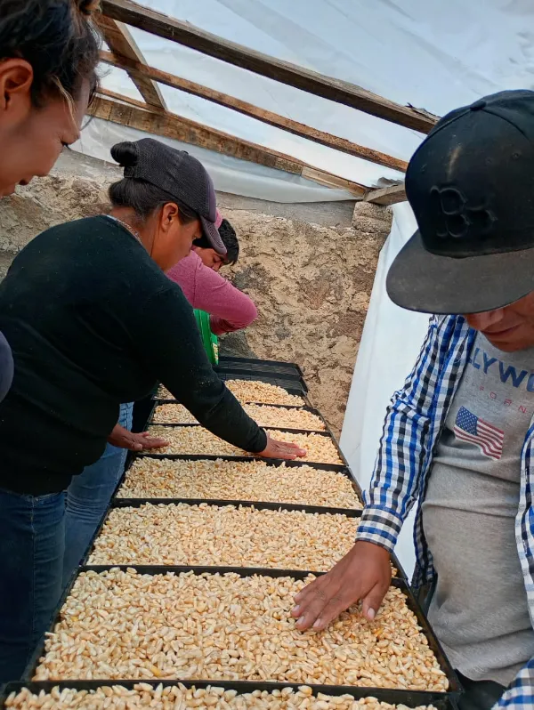 Altosano Granjas Carroll capacita para alimentar a pequeñas especies en el estiaje