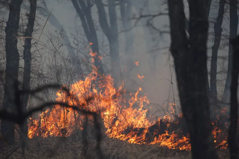 incendios-forestales-smadmot-puebla