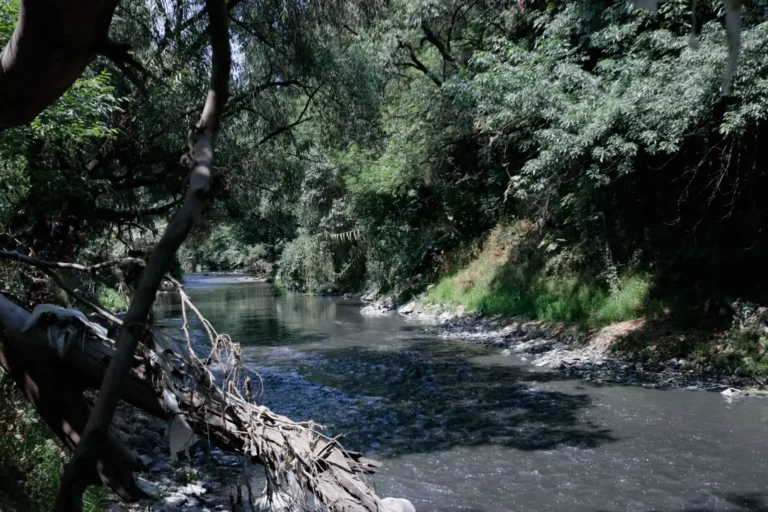 Río-atoyac-puebla-vecinos-contaminación