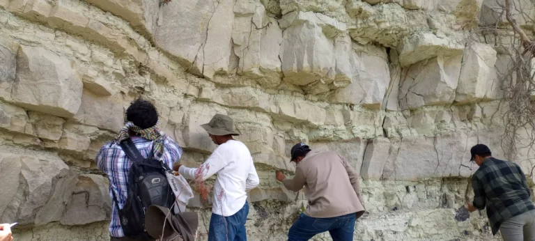 Laboratorio de Paleobiología de la BUAP: estudia el origen, la evolución y extinción de la flora y fauna de México