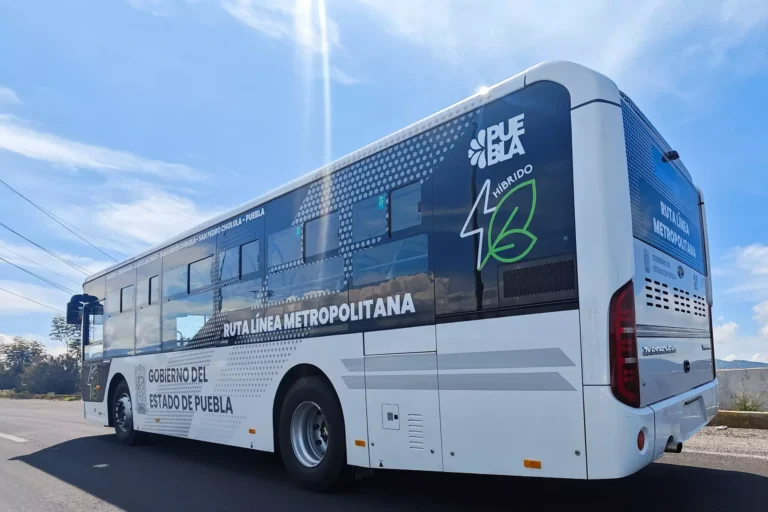 liena-4-RUTA-Costo-Pasaje-Sergio-Salomón-Céspedes-Peregrina