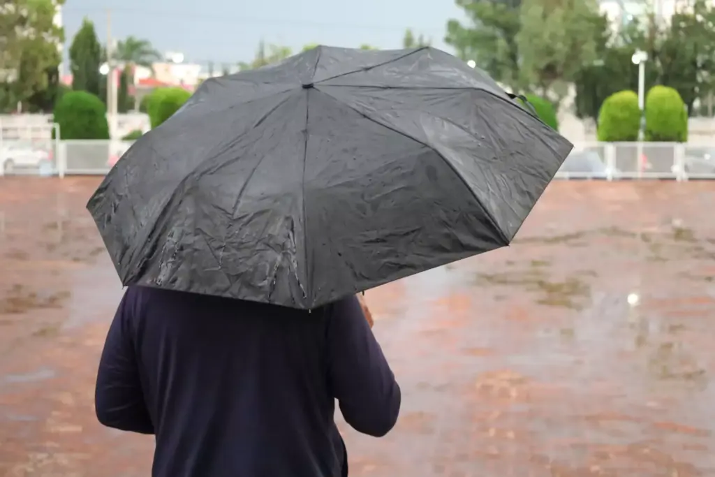 Centro Nacional de Huracanes-tormenta-tropical