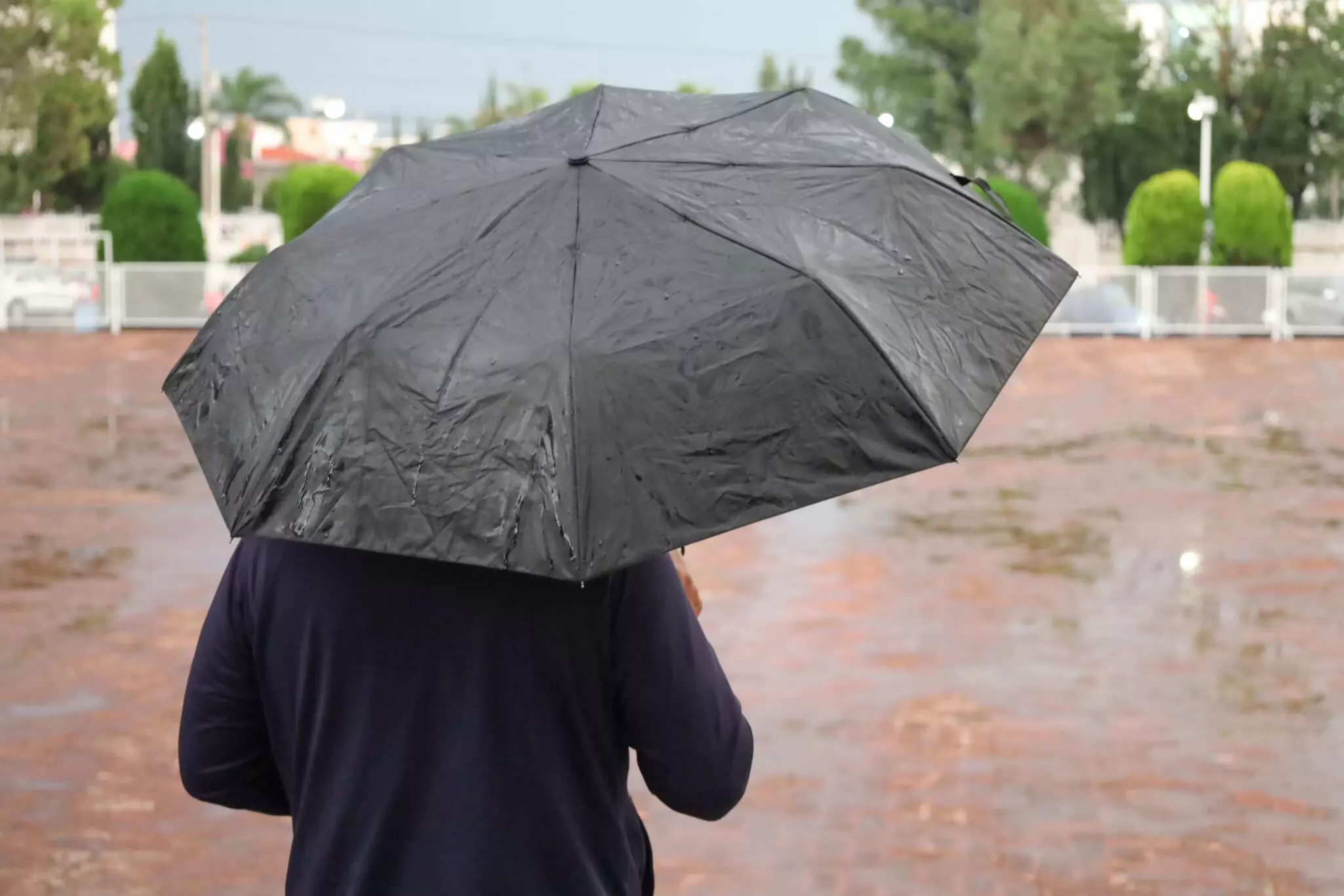 Centro Nacional de Huracanes-tormenta-tropical