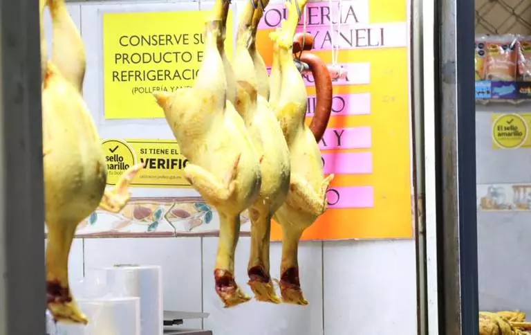 pollo-puebla-gripe-aviar