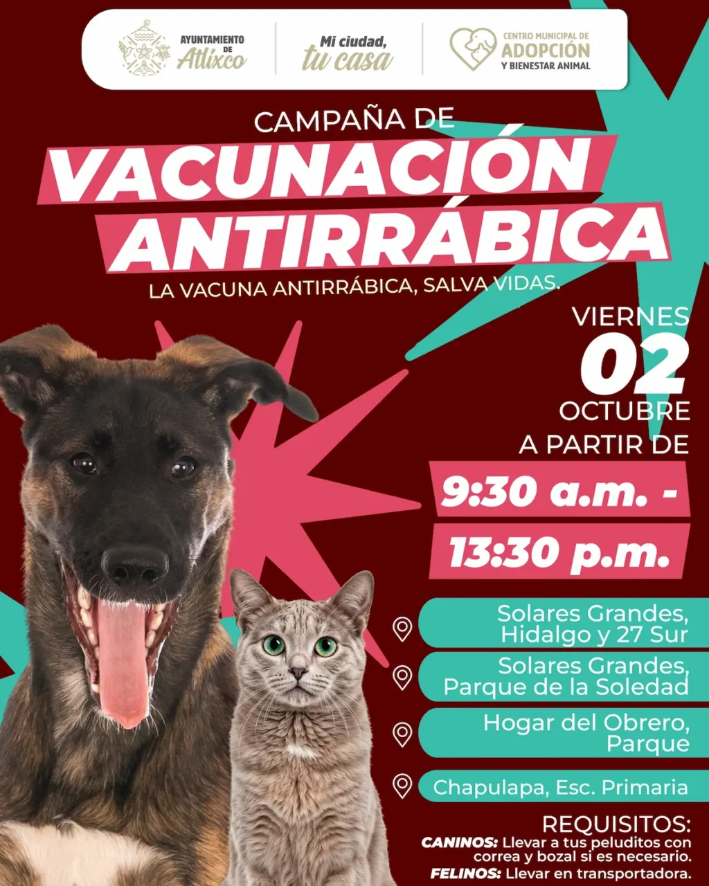 Atlixco impulsa bienestar animal con jornadas de vacunación antirrábica