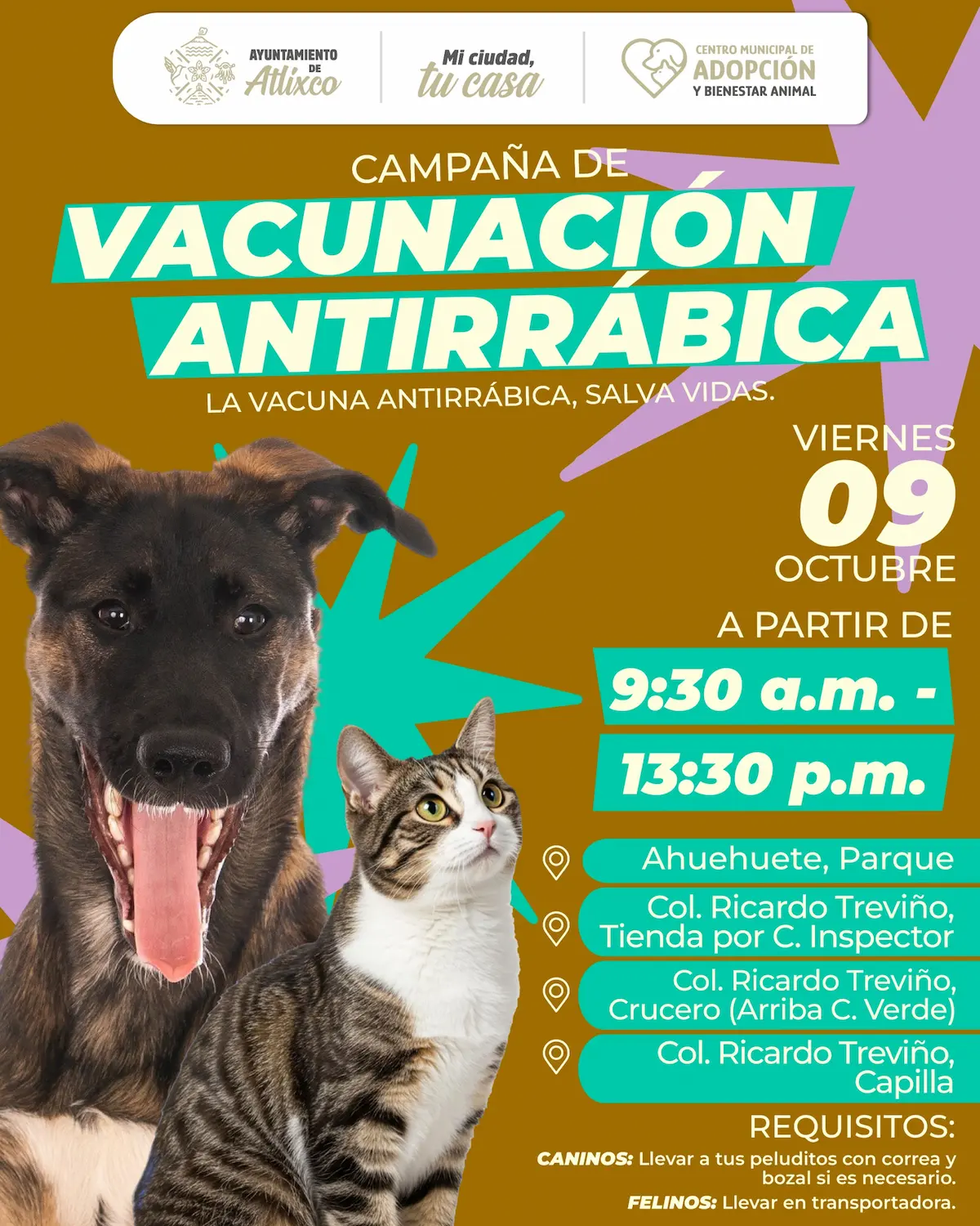Atlixco impulsa bienestar animal con jornadas de vacunación antirrábica