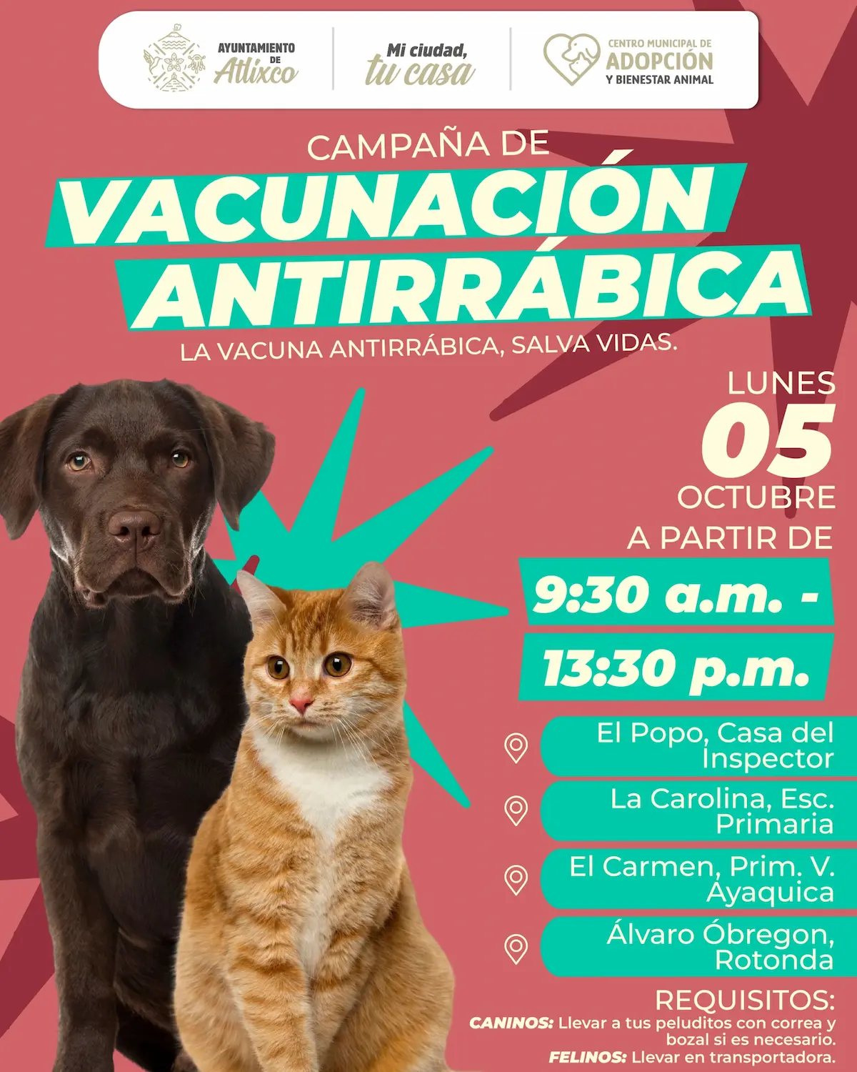 Atlixco impulsa bienestar animal con jornadas de vacunación antirrábica