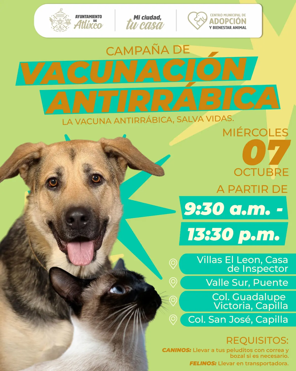 Atlixco impulsa bienestar animal con jornadas de vacunación antirrábica