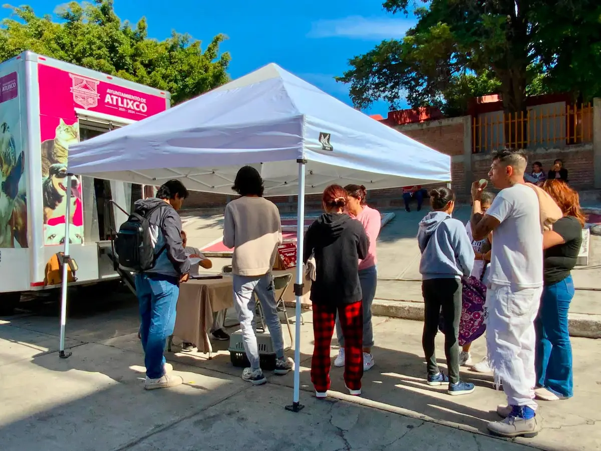 Atlixco impulsa concientización animal con Jornadas continuas de esterilización