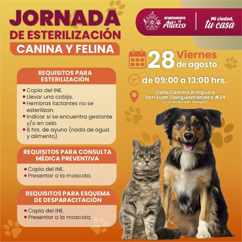 Atlixco impulsa concientización animal con Jornadas continuas de esterilización