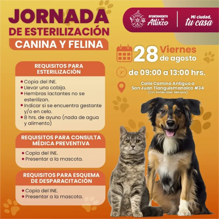 Atlixco impulsa concientización animal con Jornadas continuas de esterilización