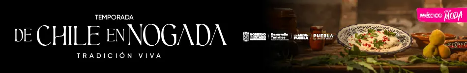 Banner 1