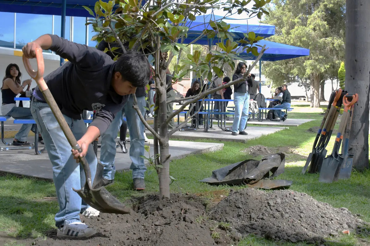 Ciencias Biológicas de la BUAP realiza jornada de arborización