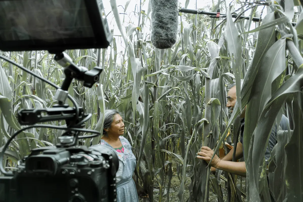 Cortometraje de estudiantes y egresados BUAP es nominado a los Premios Ariel