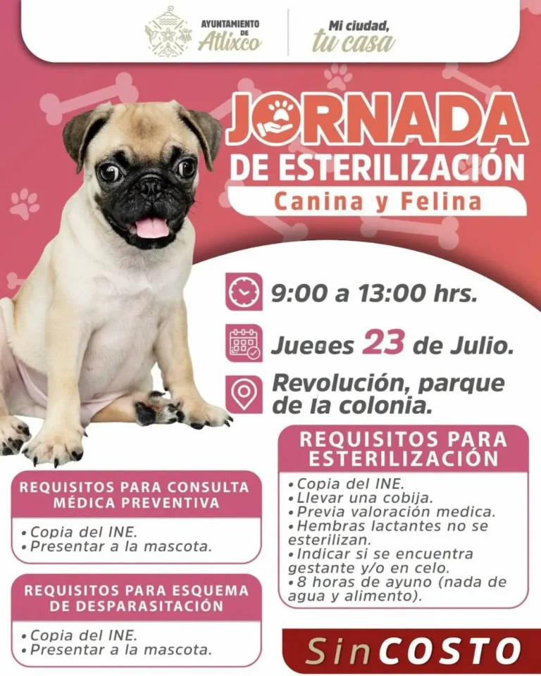 Cuidar es esterilizar; acude a las jornadas de atención de mascotas en Atlixco