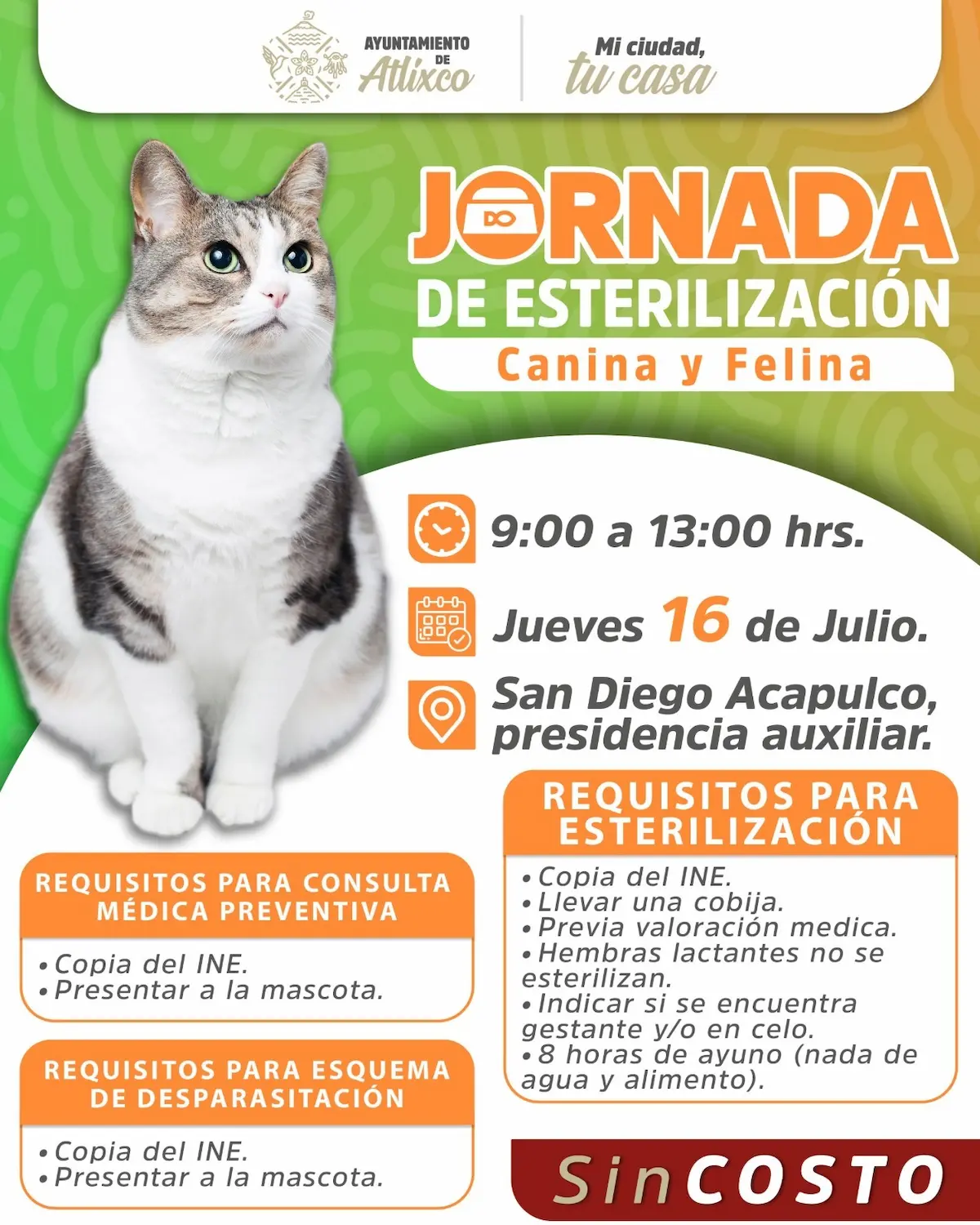 Cuidar es esterilizar; acude a las jornadas de atención de mascotas en Atlixco