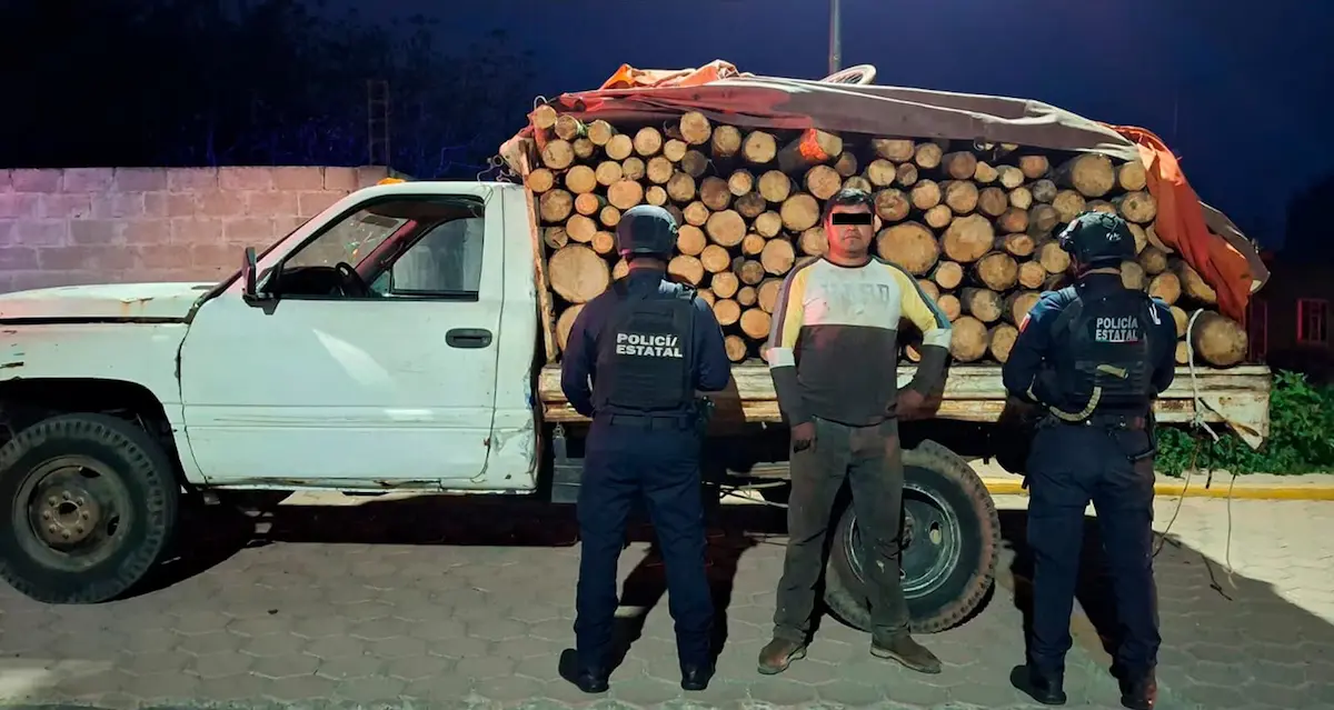 Cuatro detenidos por transportar madera y carbón ilegal en Puebla
