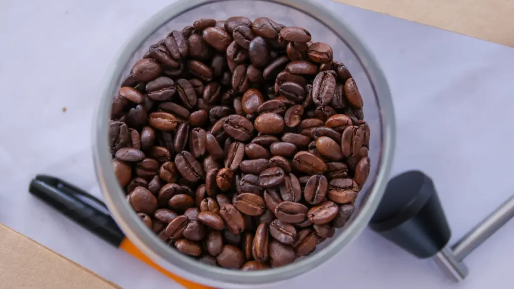 Puebla huele a café: será sede de la Convención Nacional y se consolida como potencia exportadora