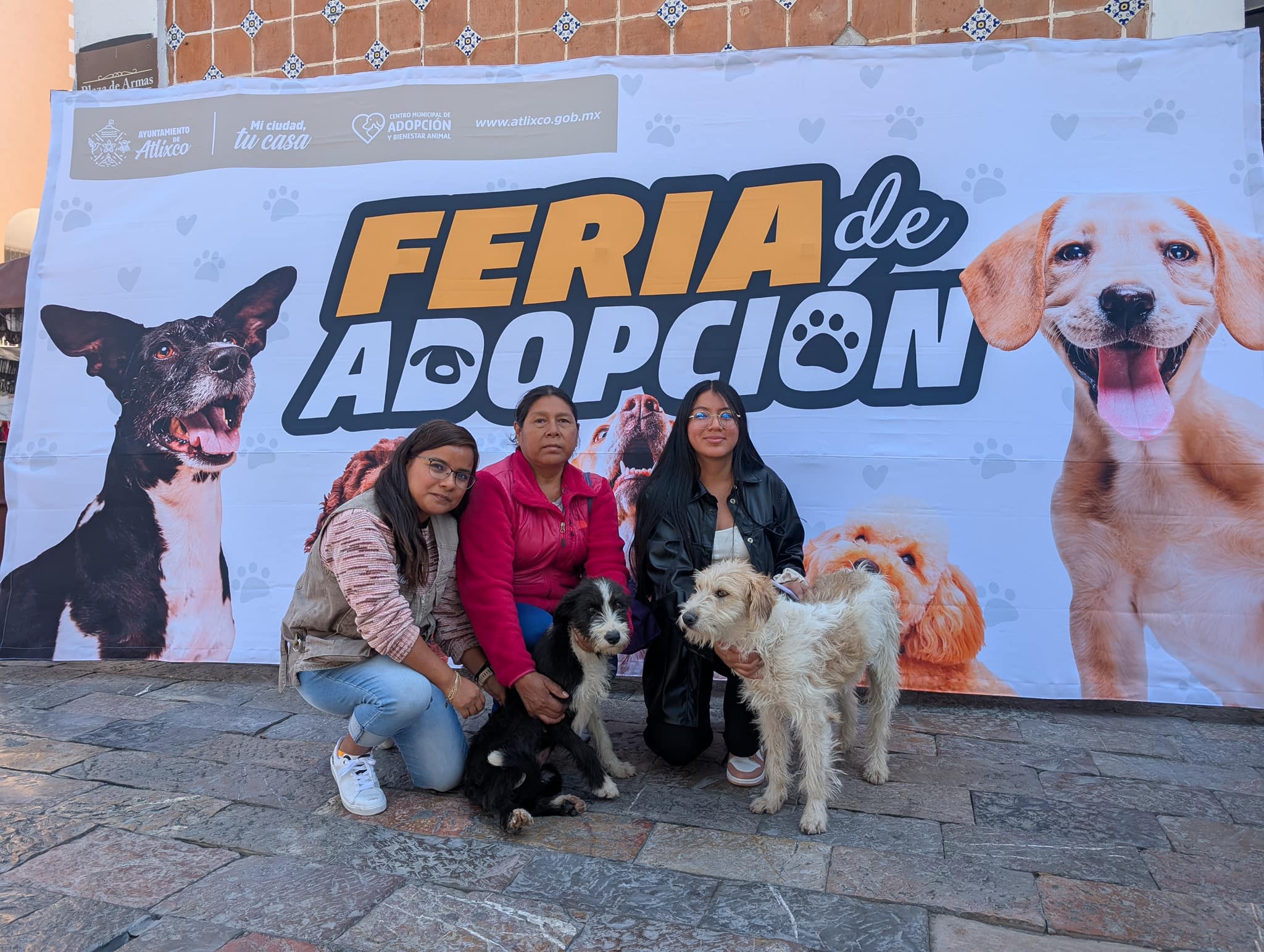 ABRE LAS PUERTAS AL AMOR PERRUNO: ASISTE A LA FERIA DE ADOPCIÓN