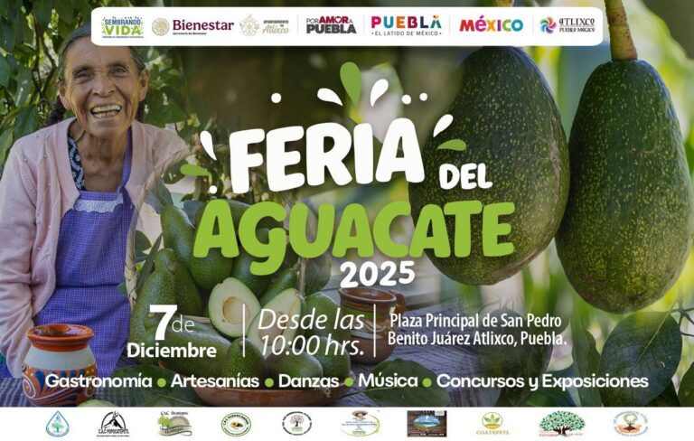 FERIA AGUACATE
