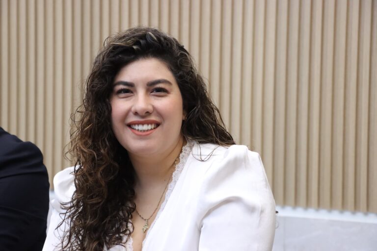 Impulsa diputada Xel Arianna Hernández iniciativa en materia de violencia vicaria