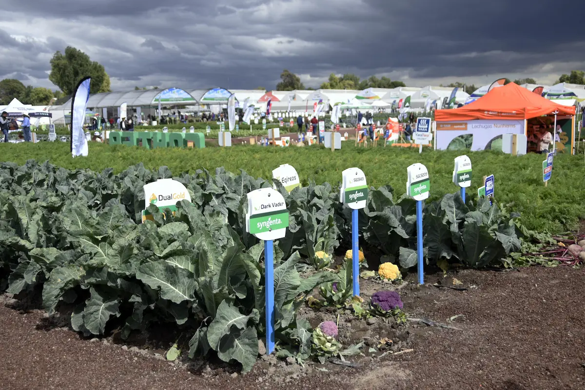 Inaugura Rectora Lilia Cedillo Expo Hortícola Puebla BUAP 2026