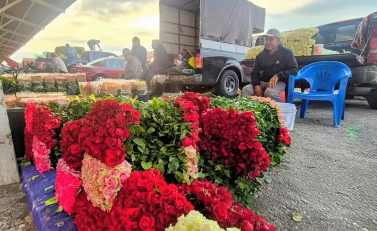 Llena de flores el corazón de mamá; Ariadna Ayala invita a celebrar con productos de Atlixco